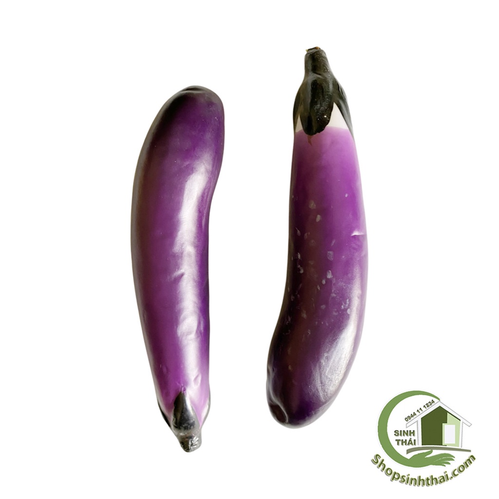 Trái cà tím - cà dái dê - Trái cây, củ quả giả cao cấp
