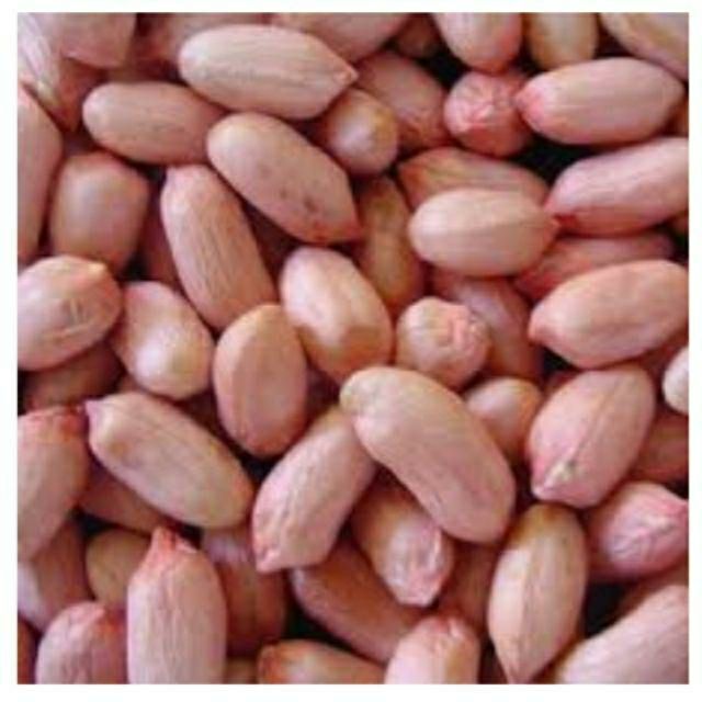 Đậu phộng sống 1kg hạt nhỏ đậu phộng tây ninh