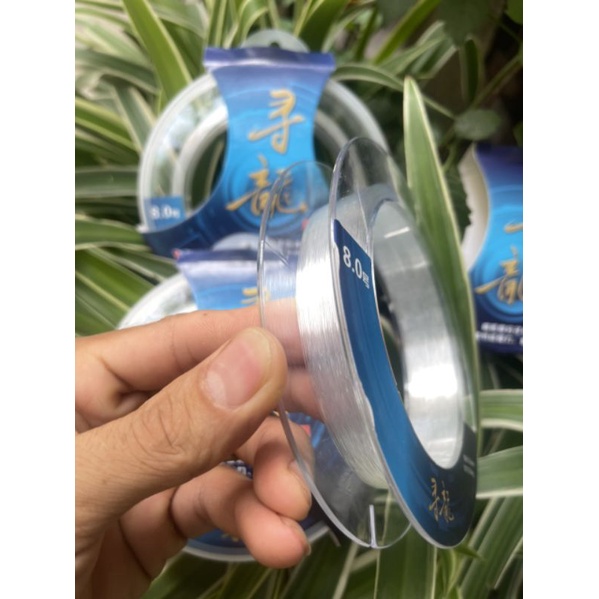 Cước trục và thẻo săn hàng Tầm Long, tải cá khỏe mềm dai