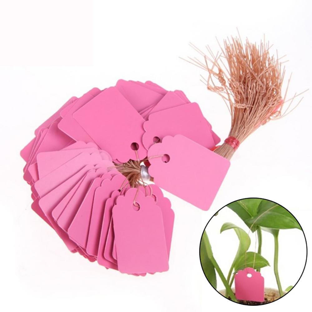LONTIME Set 100 Thẻ Đánh Dấu Cây Trồng