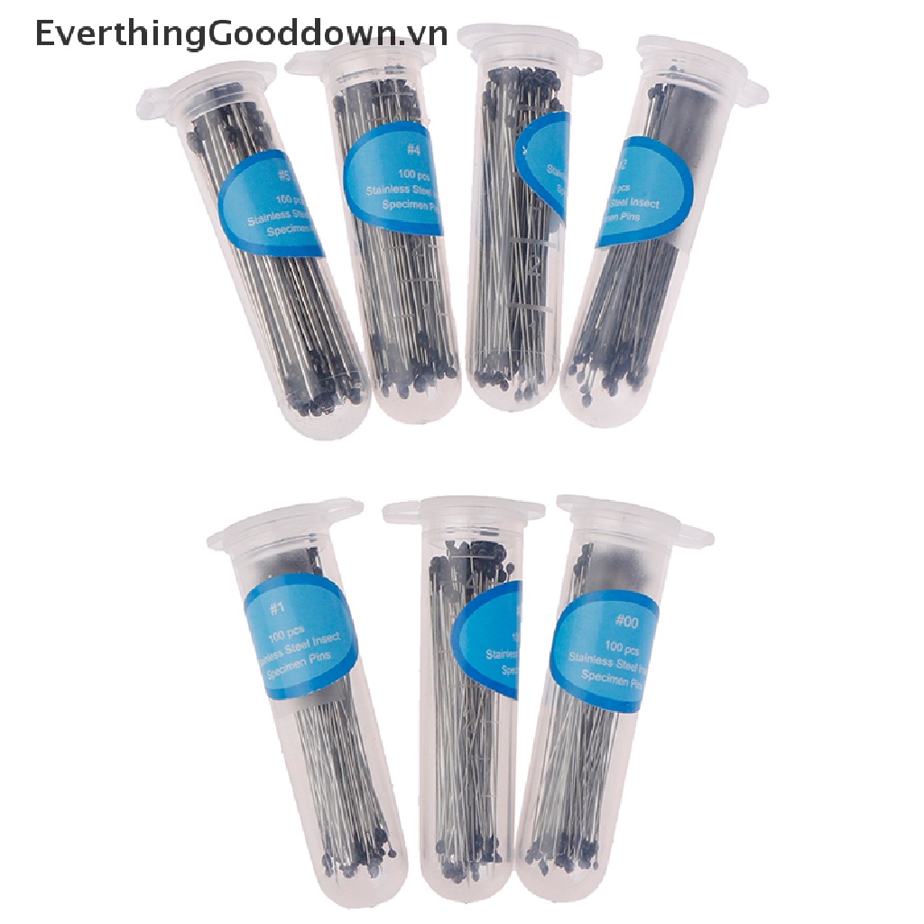 Everthinggooddown 100 Cây Ghim Côn Trùng Bằng Thép Không Gỉ Cho Phòng Thí Nghiệm Trường Học