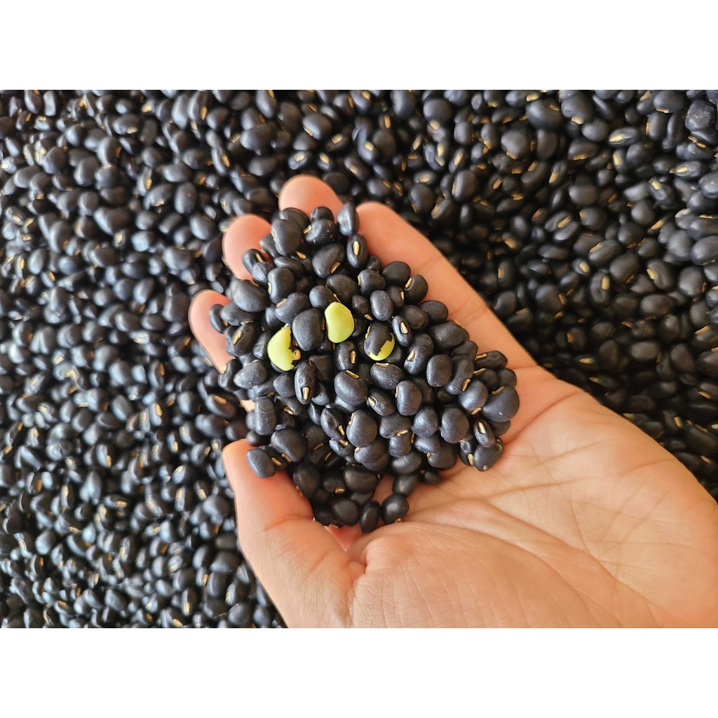 100g các loại đậu