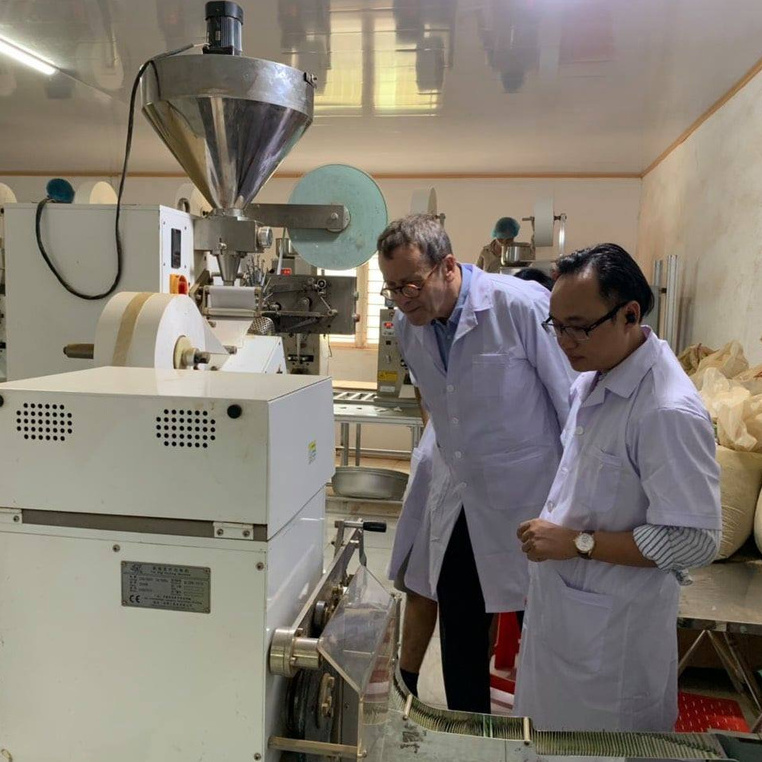 Trà túi lọc Giảo Cổ Lam ổn định huyết áp, giảm mỡ máu , ngăn ngừa xơ vữa mạch máu, bình ổn huyết áp