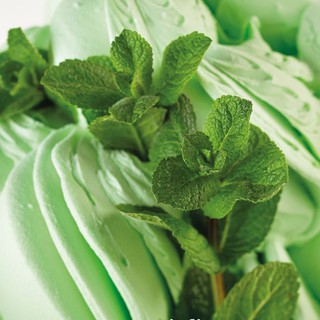 Mứt Bạc hà - Rubicone Mint green 3KG - Nguyên liệu làm kem thumbnail