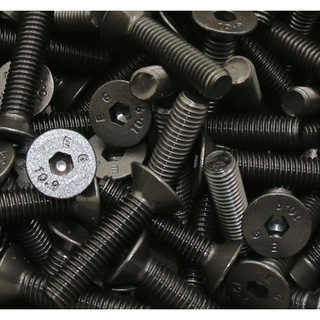 10 con Ốc lục giác đầu chìm 6 ly