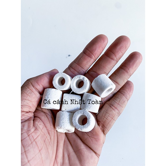 SỨ NHẪN TRƠN VẬT LIỆU LỌC CHO BỂ CÁ CẢNH