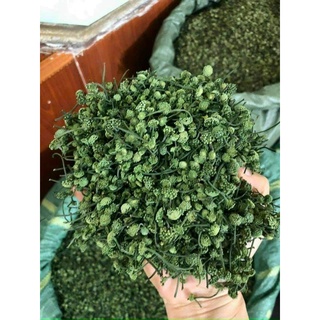 Nụ hoa tam thất