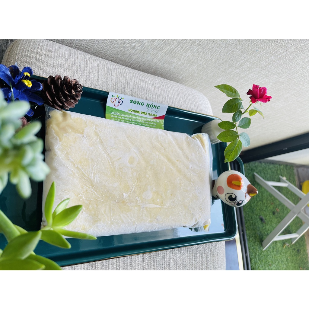 HÀ NỌI Sầu riêng cấp đông tách hạt nguyên chất🚀FREE SHIP🚀thơm ngon, dễ sử dụng