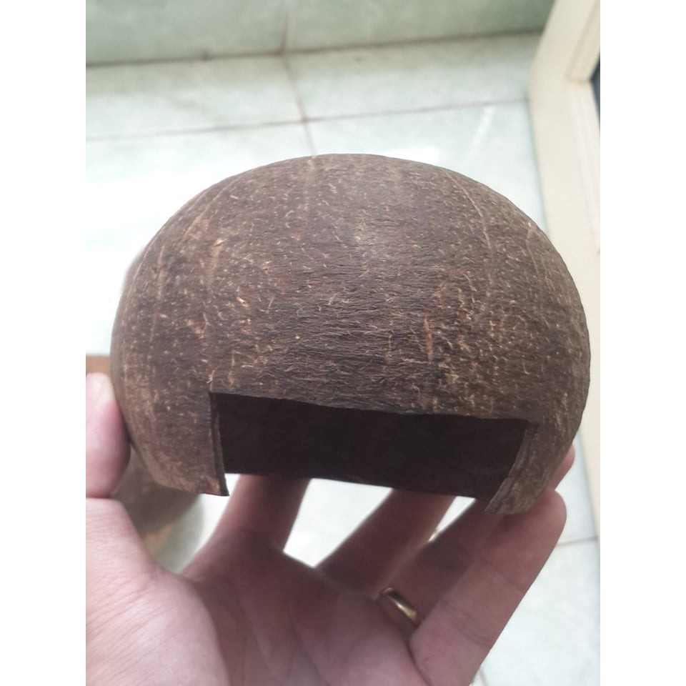 Hang trú gáo dừa dành cho thú cưng nhỏ