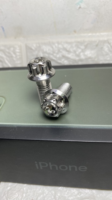 Ốc Salaya inox 10mm gắn heo dầu
