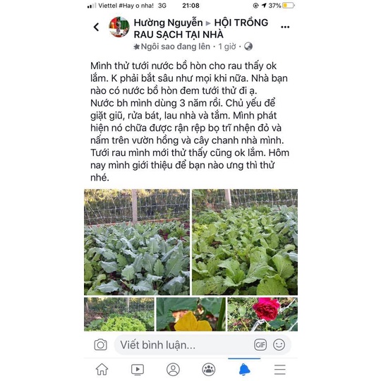 IMO bồ hòn rửa chén bát, lau nhà... và khử mùi rất tốt
