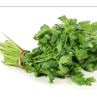 Hạt giống Mùi tây