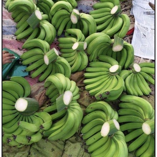 Chuối già - Chuối Cau Bao Ngon