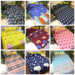 Bộ ga + 2 gối  cotton poly cute 1m6 - 1m8