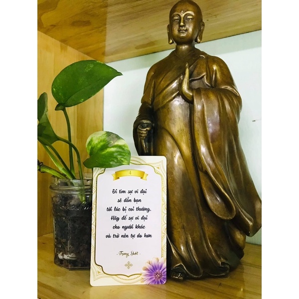 Bộ bài Trong Suốt - Bộ bài xin lời khuyên đến từ Trí Tuệ Thuần Khiết -m