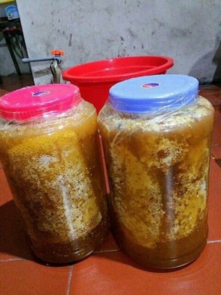 Mật Ong chuẩn rừng (0,5lit)