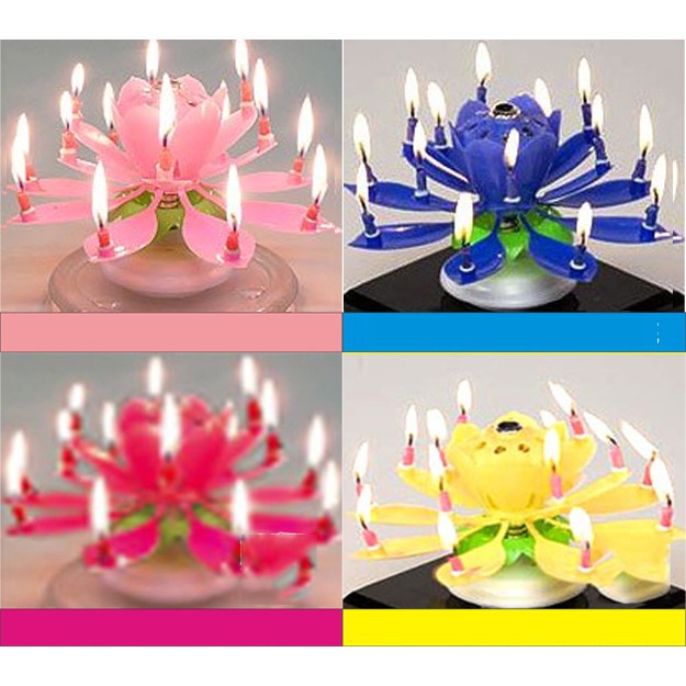 Sỉ Nến 3D Nở Hoa Phát Nhạc Happy Birthday