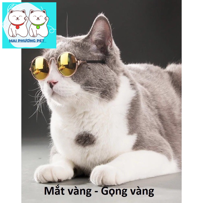 HN - Mắt Kính chó mèo gọng vàng kính mát cho thú cưng chống tia UV (One size)