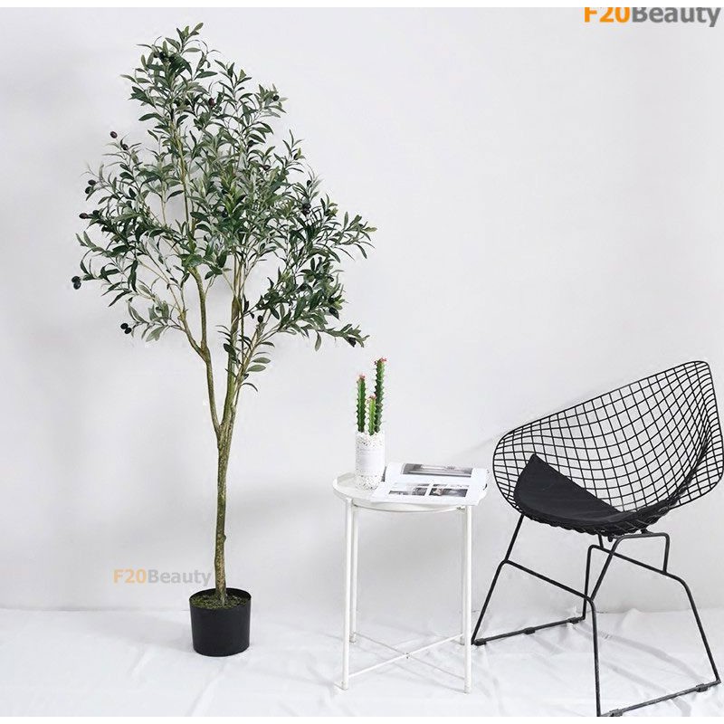 Cây ô liu giả cao cấp ( cao 120cm, 160cm) - F20Beauty - Phong cách hiện đại