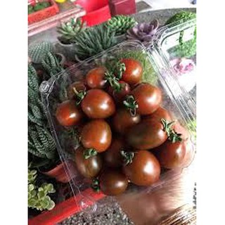 Hạt giống cà chua bi socola (30H)