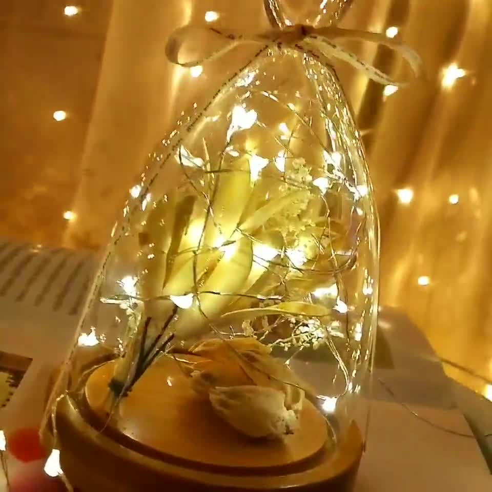 Dây đèn LED trang trí 2M dây đồng chống nước hoạt động bằng pin, dùng trang trí vòng hoa, đám cưới, tiệc cưới Lễ Tết