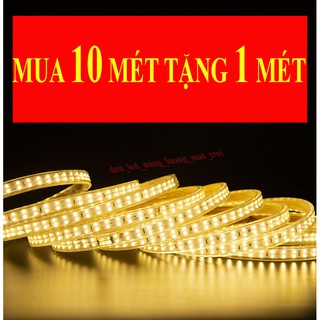 💥Đèn Led trang trí - dây đôi siêu sáng 2835💥