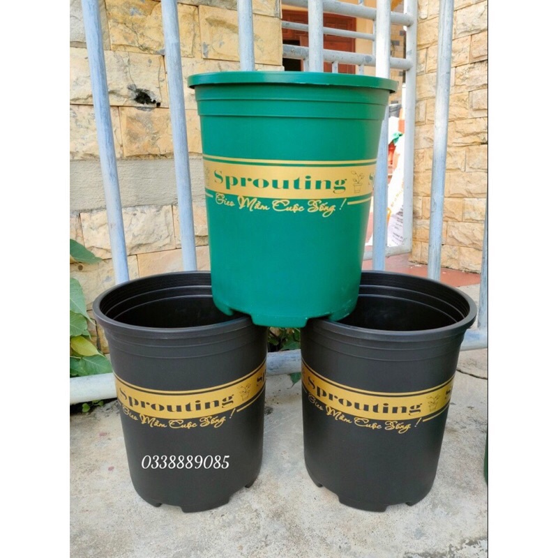 Combo 10 chậu 3, 5gal MONROVIA trồng cây, hoa, hàng sẵn kho
