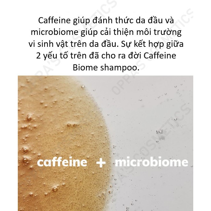 Dầu gội đầu MOREMO CAFFEINE BIOME SHAMPOO 500ml