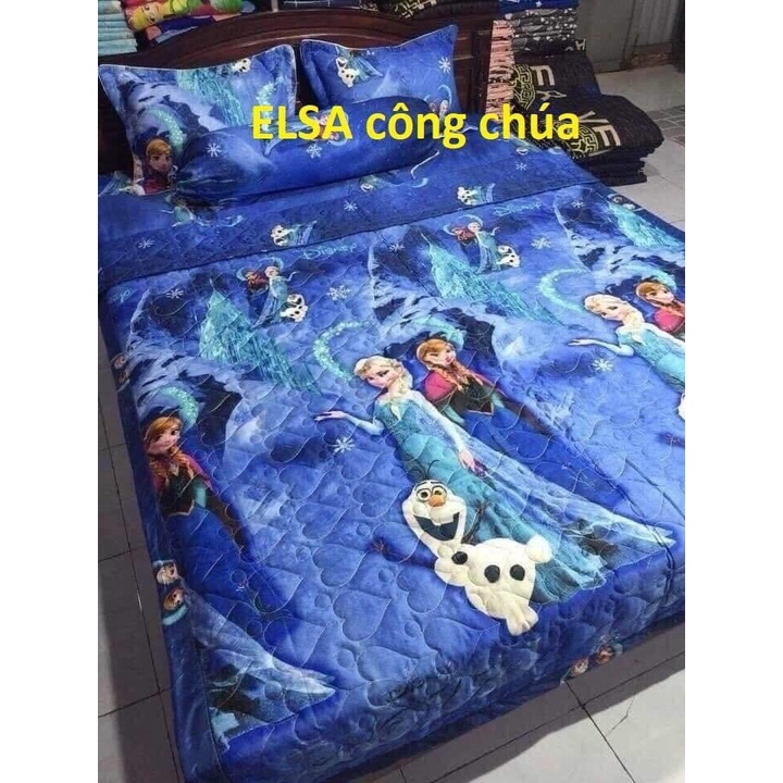 Sét Chăn Ga 5 Món Cotton Poly