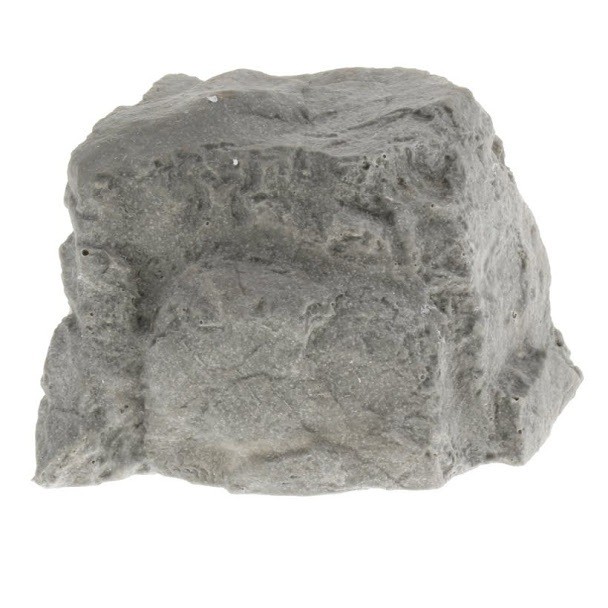 Hang động cho bò sát