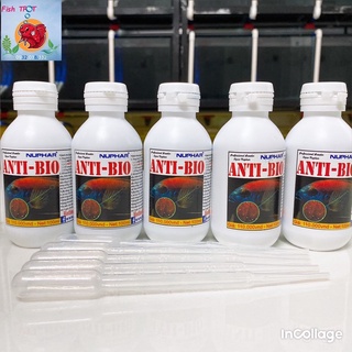 Anti bio xử lý túm lắc - diệt nấm cho cá cảnh