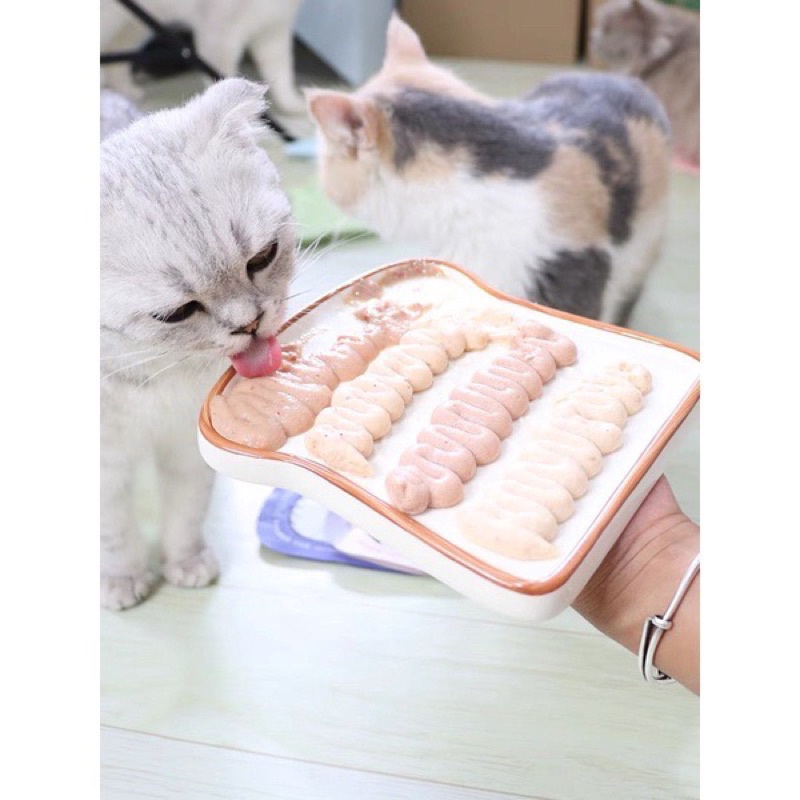 Súp thưởng cho mèo FURRYTAIL 90gr