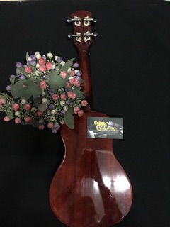 Đàn Ukulele DC800