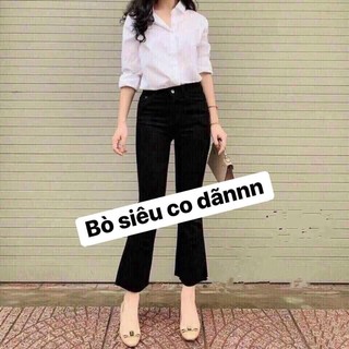 Quần bò ống loe chất dày dặn, co dãn tốt - Quần jean nữ ống loe co dãn