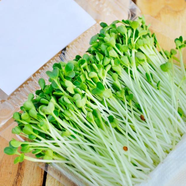 Hạt Giống Rau Mầm Cải Ngọt - Giòn, Ngọt, Dinh Dưỡng Cao