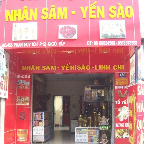Sâm yến Thái An