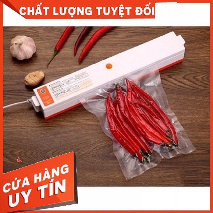 máy hút chân không, máy hút chân không thực phẩm mini kiêm hàn miệng túi