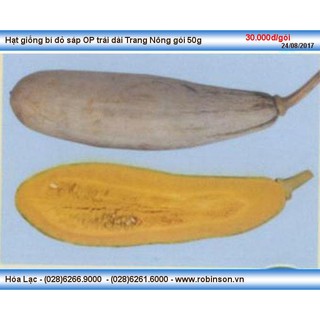 HẠt giống bí đỏ dài cao sản