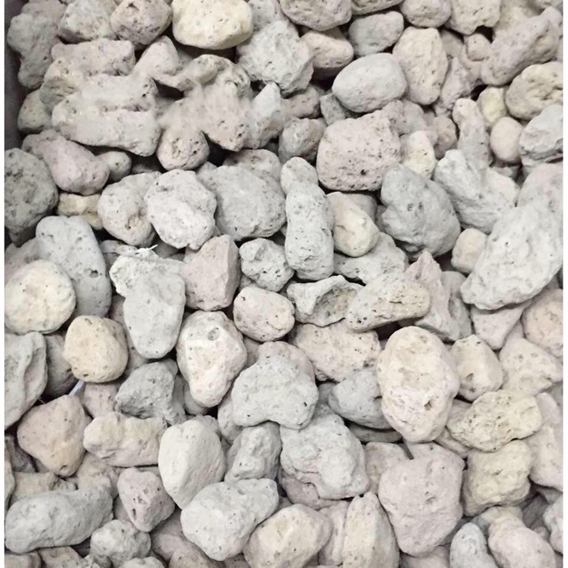 Đá Pumice nhẹ / thoáng/ giữ ẩm tốt (0.5 kg) -  giá thể trồng Sen đá, Phong Lan, cây cảnh ... tốt ✅