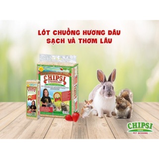 Mùn cưa Chipsi lớn 3,2 kg- quần áo , phụ kiện thú cưng