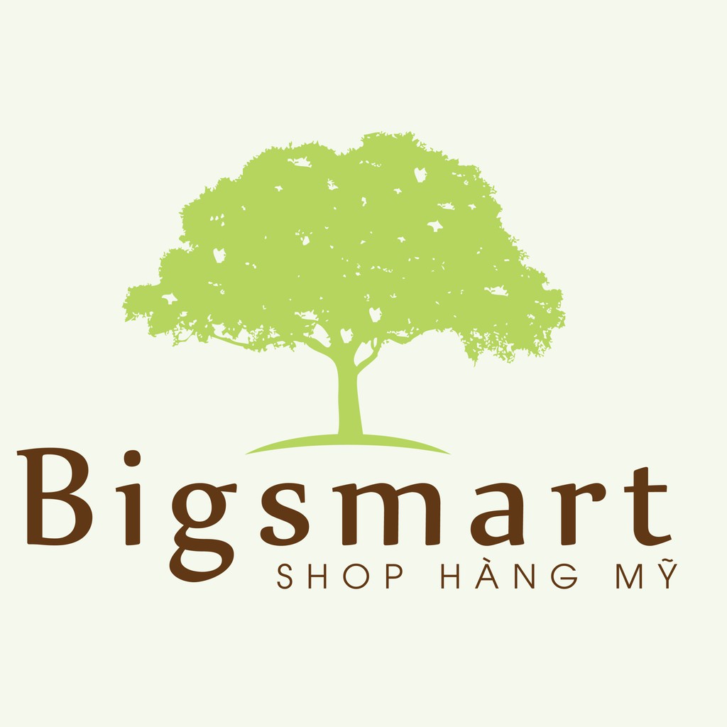 bigsmartvn