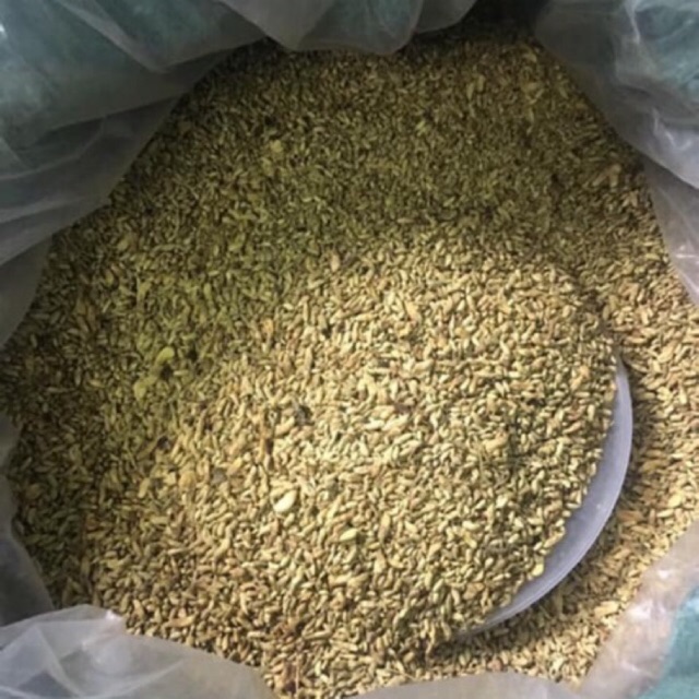 Trà Hoa hòe khô - Thái Bình