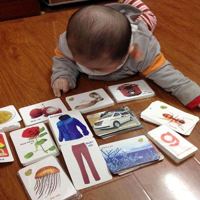 Bộ thẻ học thông minh 16 chủ đề 416 thẻ song ngữ Anh Việt cho bé - flashcard thông minh theo montessori