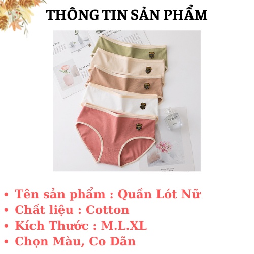 Quần Lót Nữ - Quần Lót Cotton Cạp Vừa Co Dãn 4 Chiều AMYBRA L003