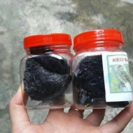 Com bo 2 nọ keo bẫy chim siêu dính