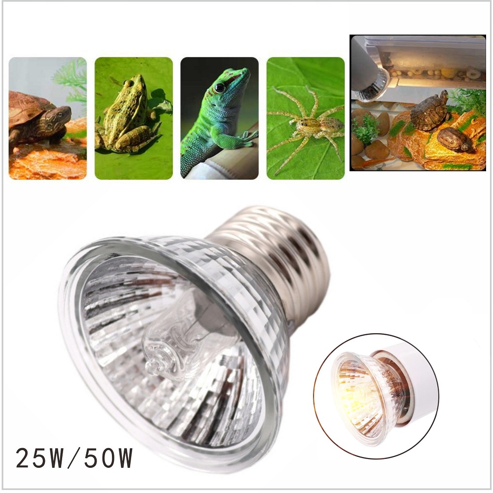 Bóng đèn UVA + UVB sưởi ấm cho bò sát, rùa, thằn lằn... công suất 25/50/75w