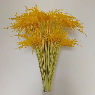 Sỉ 10 cành bông lúa nhựa