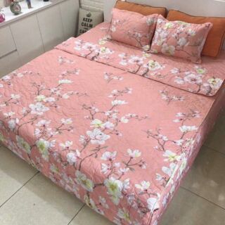 Bộ chăn ga poly trần bông bao gồm 1 ga phủ m6*2m hoặc m8*2m + 1 chăn trần có thể lồng ruột + 2 gối đầu trần