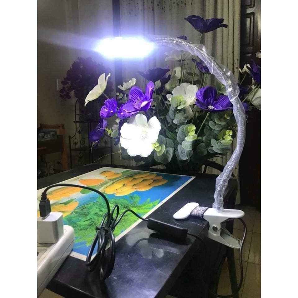 Đèn Led Mini Kẹp Bàn Làm Nail, Nối Mi , Phun Xăm 2 Chế Độ Sáng