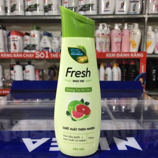 Dầu gội Fresh Dưỡng tóc hư tổn - giảm rụng tóc 180g